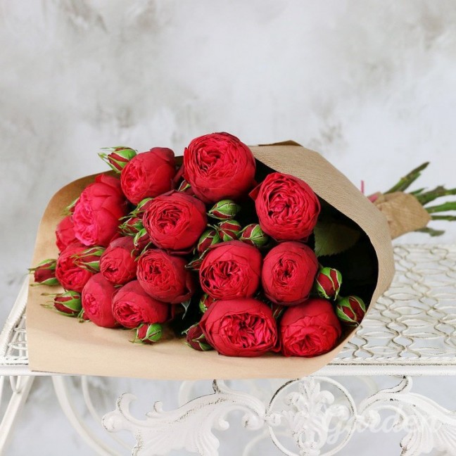 15 красных пионовидных роз